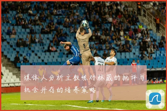 媒体人分析主教练对林葳的批评与机会并存的培养策略